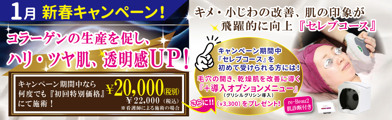 ナビジョンDr クリスマスコフレ完売のお知らせ | お知らせ | 交通事故