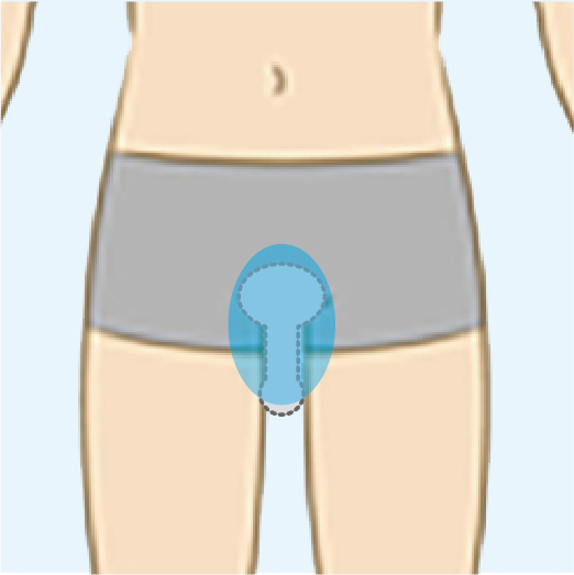 男性器