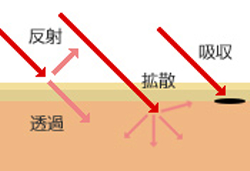 レーザーが皮膚に照射された後の経路を表す図